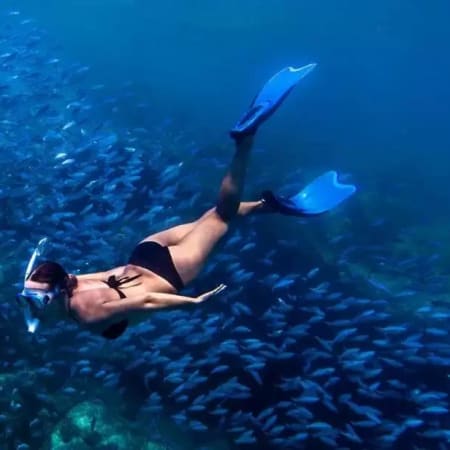 8-Hour Nusa Penida Tour with Kelingking Beach and Crystal Bay