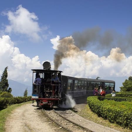 9-Day Sikkim and Darjeeling Tour with Gurudongmar and Yumthang