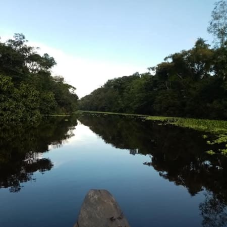 4-Day Amazon Wildlife Tour in Yanayacu with Ecolodge Stay