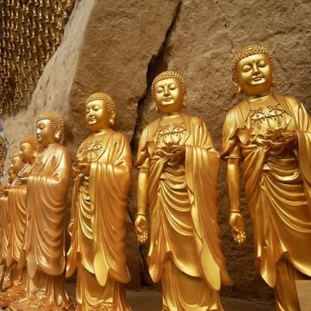 Full-Day Orang Utan Island and Ipoh Tour with Cave Temples