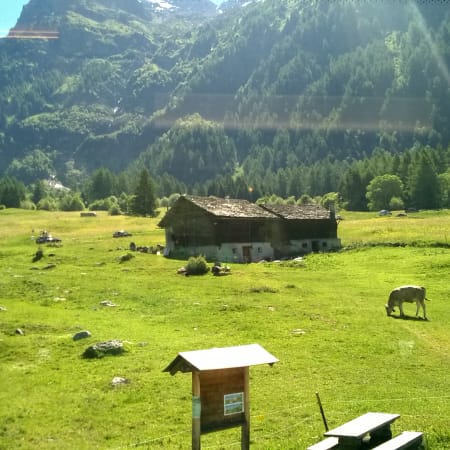 Full-Day Bernina Train and St. Moritz Tour from Milan via Swiss Alps