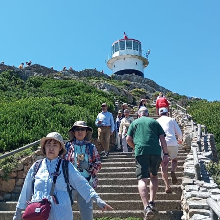 Full-Day Cape Peninsula Tour with Cape Point and Boulders Beach