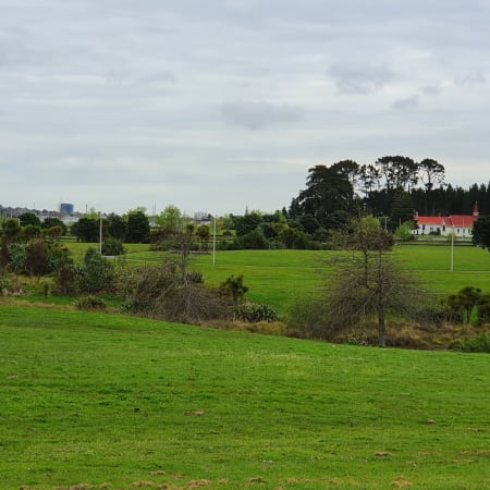 5-Hour East Auckland Nature, Culture and History Tour with Temple Visit