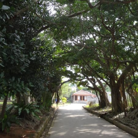 8-Hour Okinawa Heritage Tour with Shuri Castle and Nakagusuku