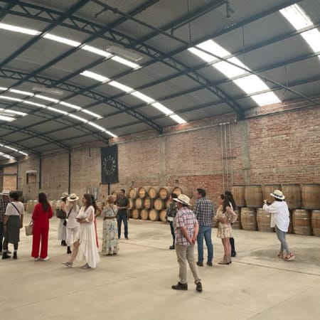 7-Hour Private Wine Tour in Aguascalientes with Two Boutique Vineyards