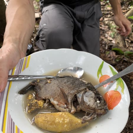 7-Day Pacaya-Samiria Wildlife Tour from Iquitos with Jungle Camping