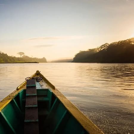 4-Hour Tambopata River Wildlife Tour with Sunset Caiman Search