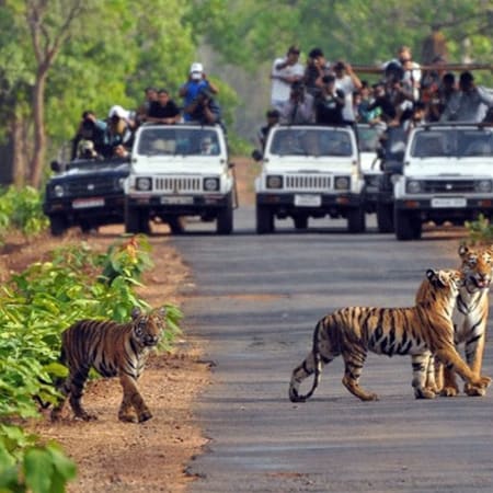 4-Day Nainital and Corbett Safari Tour from Delhi or Dehradun