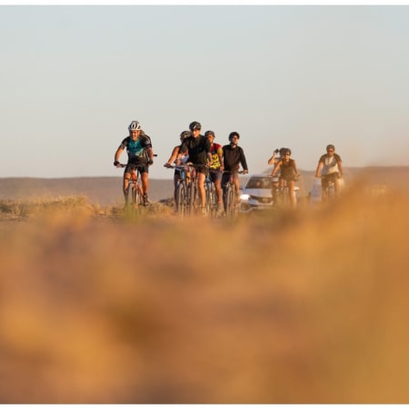 2-Hour Punta Cuevas Bike Tour in Puerto Madryn from the Cruise Pier