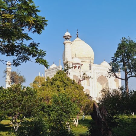 Full-Day Taj Mahal and Mathura Holi Tour from Delhi