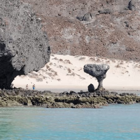 7-Hour Espíritu Santo Island Tour from La Paz with Sea Lions and Lunch