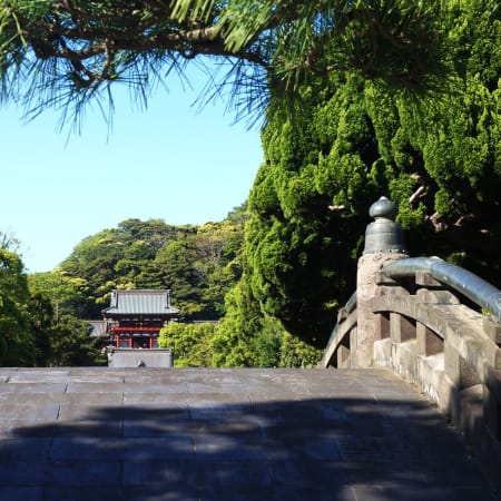 1-Day Kamakura Train Tour from Tokyo with Great Buddha and Matcha