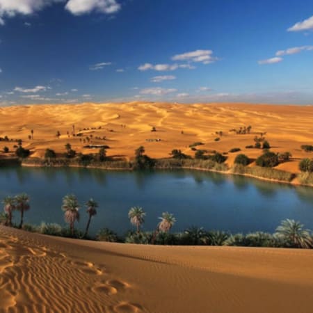 12-Hour Faiyum Oasis and Wadi El Rayan Tour from Cairo