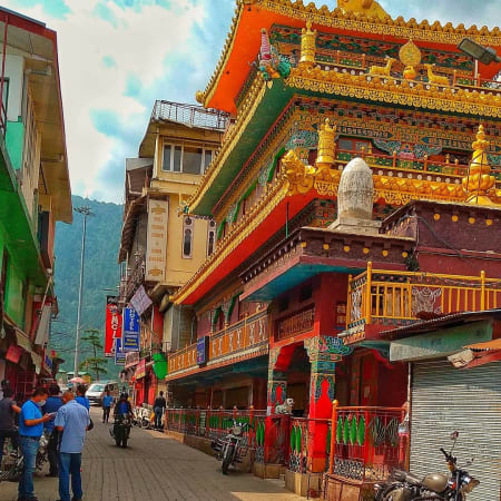 6-Hour Dharamshala and McLeodganj Tour with Tea Plantation Visit