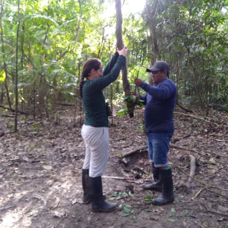 2-Day Amazon Tour from Iquitos with Pacaya Samiria and Dolphins