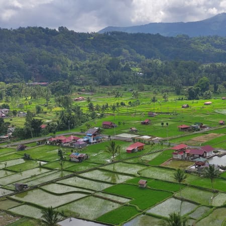 1-Day Minahasa Highland Tour from Manado with Mahawu and Linow Lake