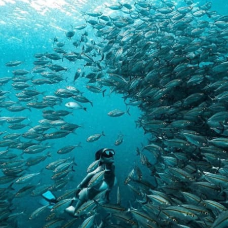 10-Hour West Lombok Island Hopping Tour with Gili Nanggu Snorkeling