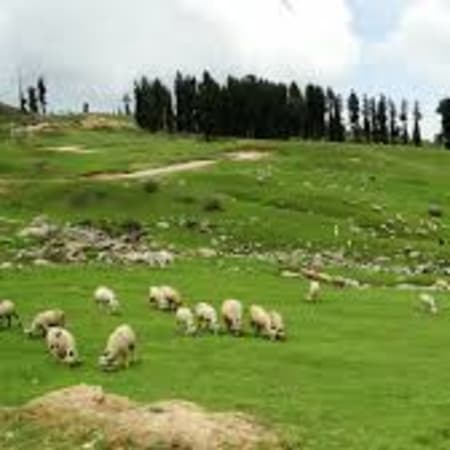 10-Day Kashmir Great Lakes Trek with Srinagar Houseboat Stay