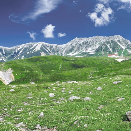 9-Hour Tateyama Snow Wall Tour from Toyama with Alpine Route