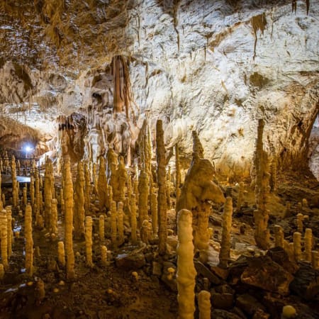 8-Hour Bear's Cave Tour from Oradea with prehistoric fossils