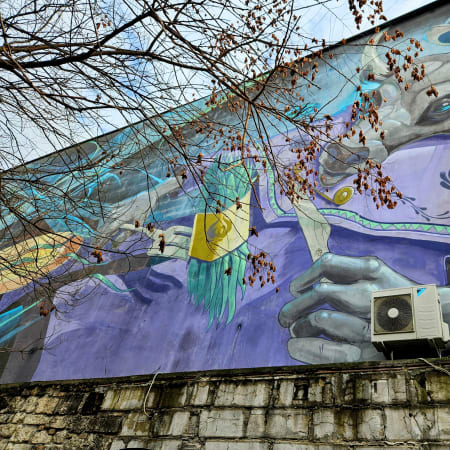 2-Hour Budapest Jewish Quarter and Street Art Tour with Ruin Bars