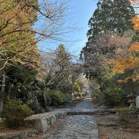 8-Hour Mt Hiko Pilgrimage Walk in Fukuoka with Shugendo Heritage