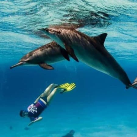 7-Hour Hamata Islands Snorkelling Tour from Marsa Alam with Lunch