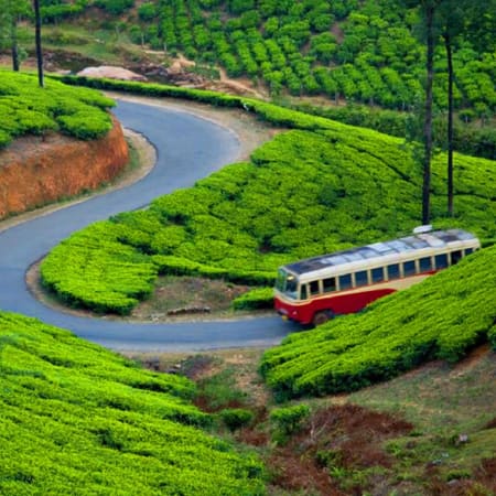 9-Day South India Hill Stations Tour with Ooty, Munnar and Cochin