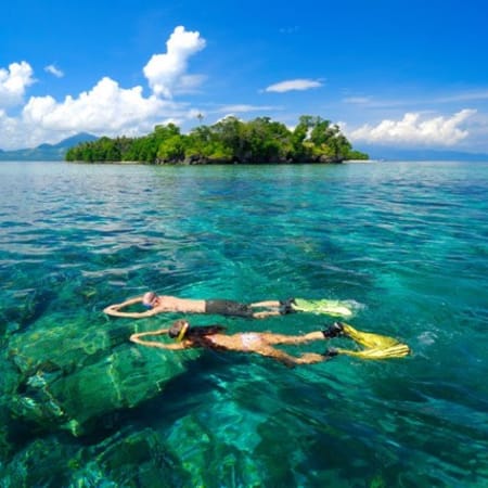 2-Day Manado and Tangkoko National Park Tour with Tarsier Spotting