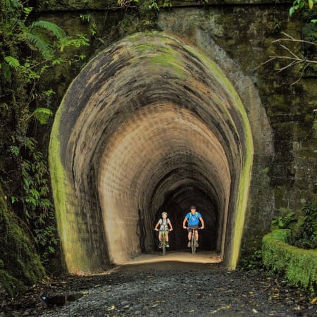 3-Day Remutaka Cycle Tour from Welligton
