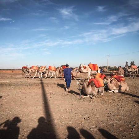 10-Hour Atlas Mountains Tour from Marrakech with Camel Ride