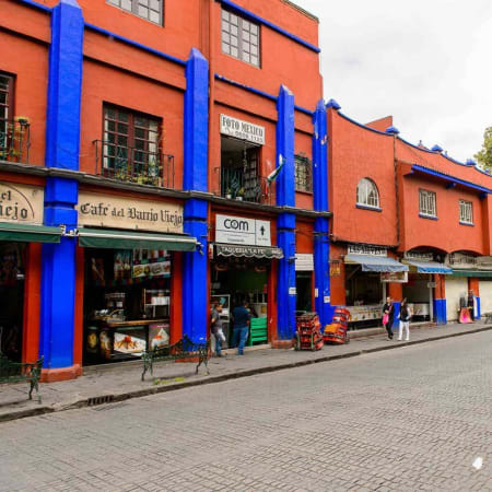 6-Day Mexico City Culture Tour with Teotihuacán and Xochimilco