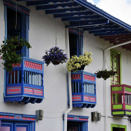 5-Day Quindío Coffee and Nature Tour with Cocora Valley and Salento