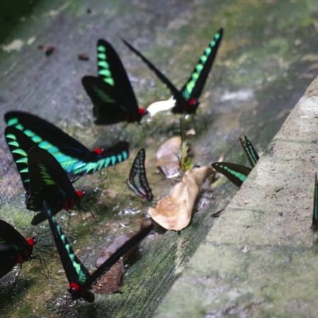 2-Hour Canoeing Tour in Limpaki Wetland National Park