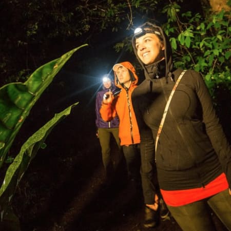 5-Day Amazon Jungle Tour from Iquitos with Maniti Eco-Lodge Stay