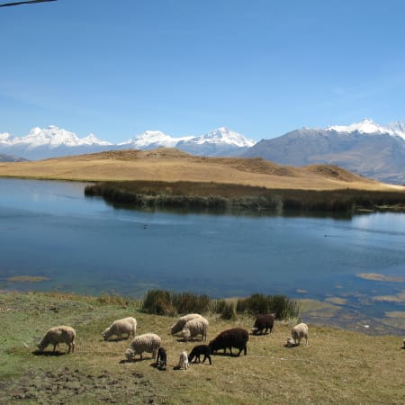 6-Hour Hiking Tour to Wilcacocha Lake from Huaraz via Santa Cruz