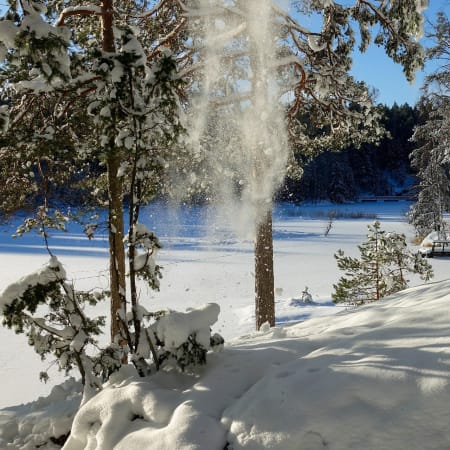 5-Hour Nuuksio National Park Tour from Helsinki with a Biologist