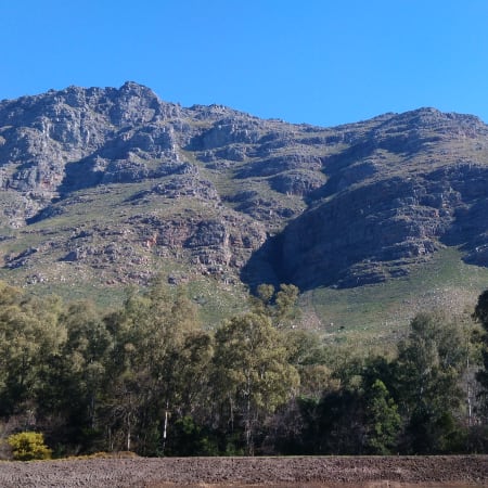 9-Hour Cape Winelands Tour with Tastings in Franschhoek and Stellenbosch