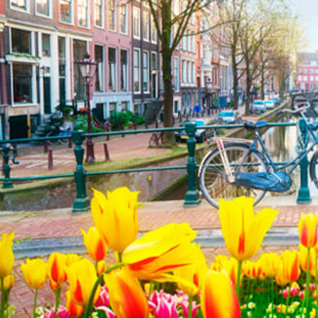 3-stündiger Altstadt- und Grachtenrundgang durch Amsterdam
