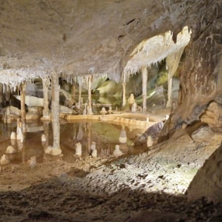 10-Hour Baratang Island Tour from Port Blair with Limestone Caves