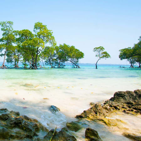 4-Day Port Blair and Havelock Island Tour with Radhanagar Beach