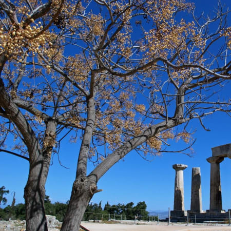 11-Hour Ancient Greece Tour to Corinth, Mycenae, Nafplio and Epidaurus
