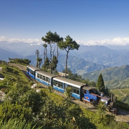 7-Day Darjeeling and Gangtok Tour with Yumthang Valley and Changu Lake
