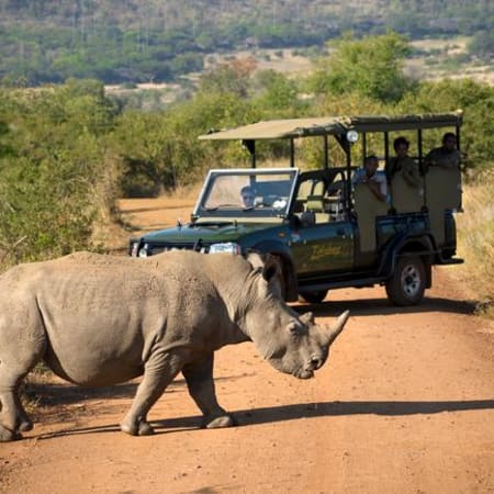 9-Hour Pilanesberg National Park Safari with Big Five Wildlife