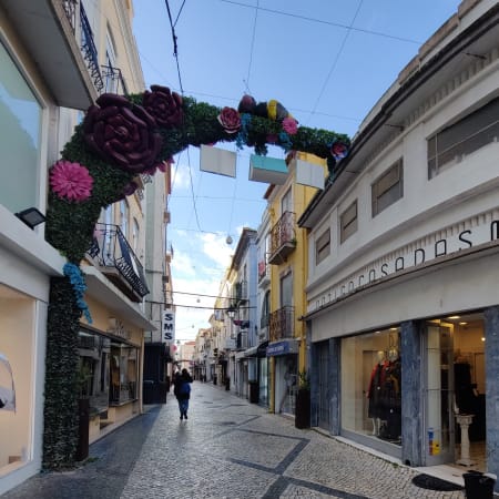 3-Hour Private Walking Tour of Setúbal with Market and Museum