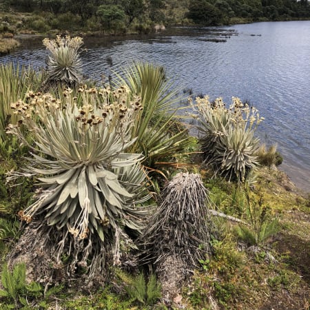 8-Hour Páramo de Rabanal Hike from Villa de Leyva with Local Lunch