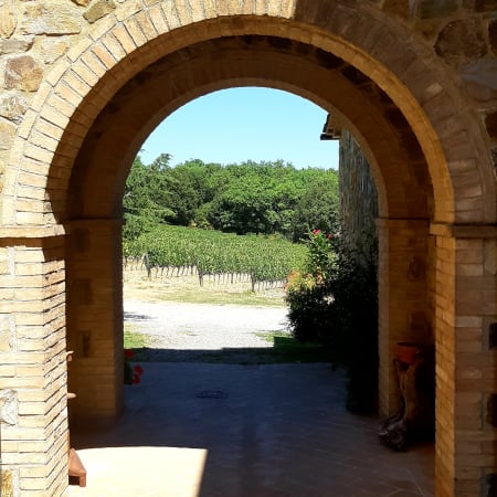 10-Hour Wine Tour of Val d'Orcia with Montepulciano and Montalcino