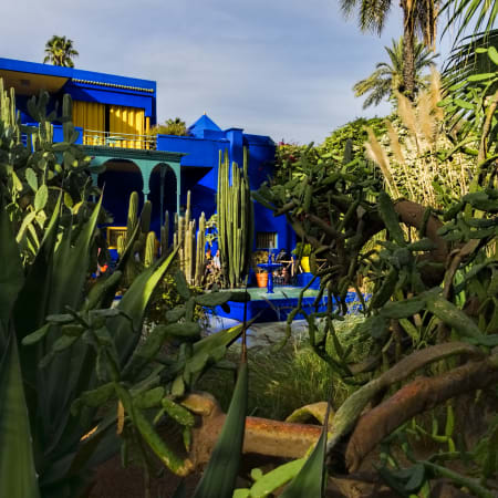 10-Day Morocco Highlights Tour from Casablanca with Sahara Camp