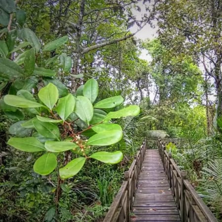 2-Hour Canoeing Tour in Limpaki Wetland National Park