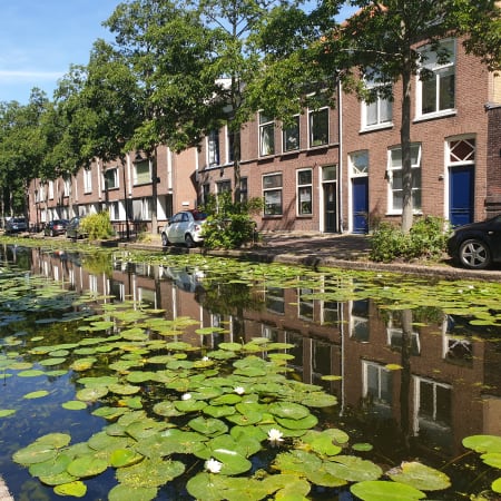 8-Hour Private Delft and The Hague Tour from Amsterdam by Car